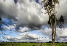 MK体育：阿德巴约28+12普尔35分 热火客场大胜奇才.