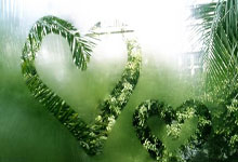 MK体育:亚锦赛签表出炉!凡晨再合体,男单7年无冠魔咒能否打破?.