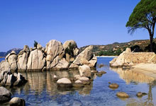 MK体育：交接！亚冬会下一站沙特阿拉伯央视新闻客户端.